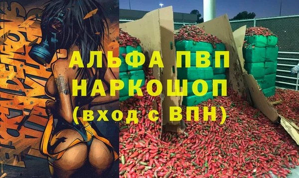 Альфа ПВП Коряжма