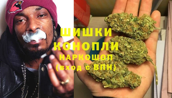 Альфа ПВП Коряжма