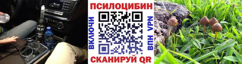Галлюциногенные грибы прущие грибы  Купить закладки  Бородино 